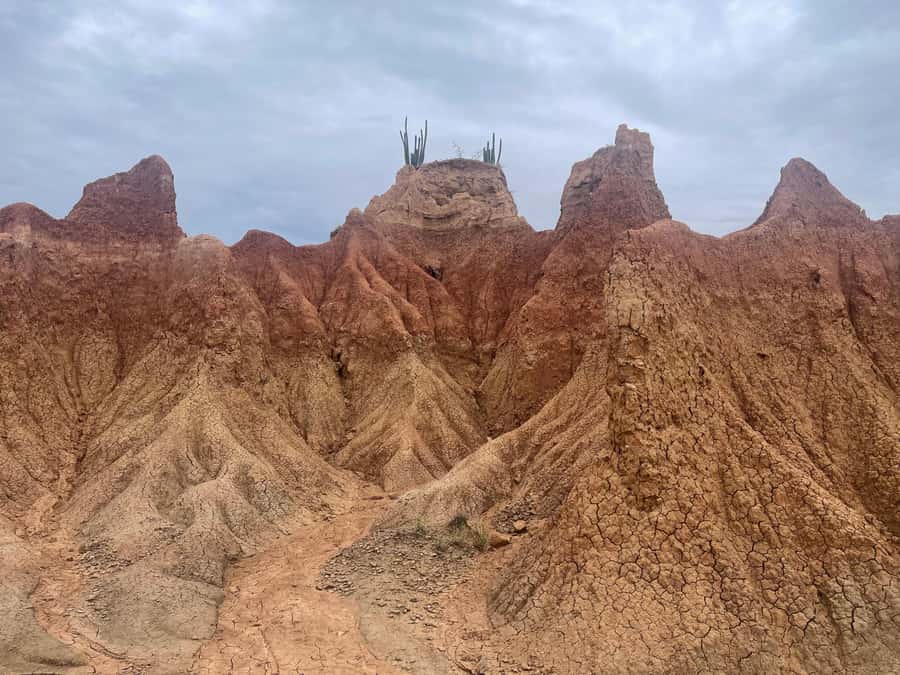 Villavieja: Tatacoa Desert Horseback Riding Tour - Who will enjoy this experience most?