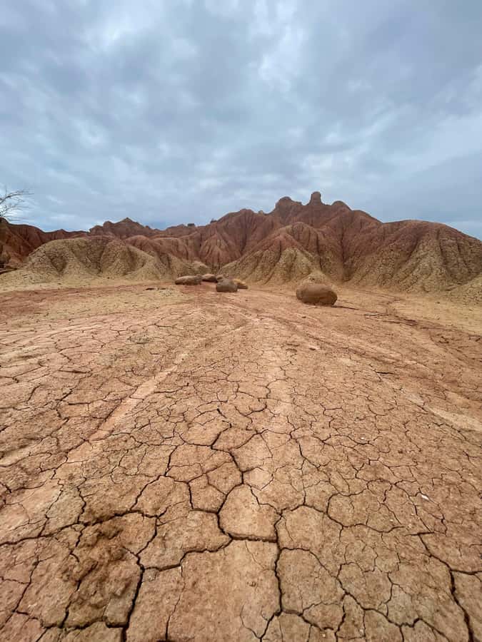 Villavieja: Tatacoa Desert Horseback Riding Tour - Booking details that matter