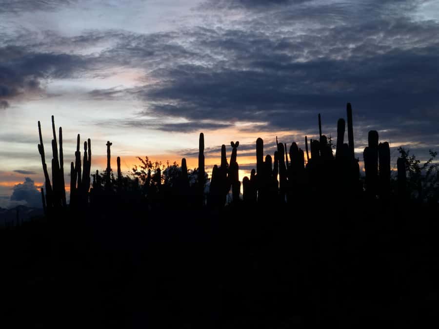 Villavieja: Tatacoa Desert Horseback Riding Tour - What the horse ride adds to the desert