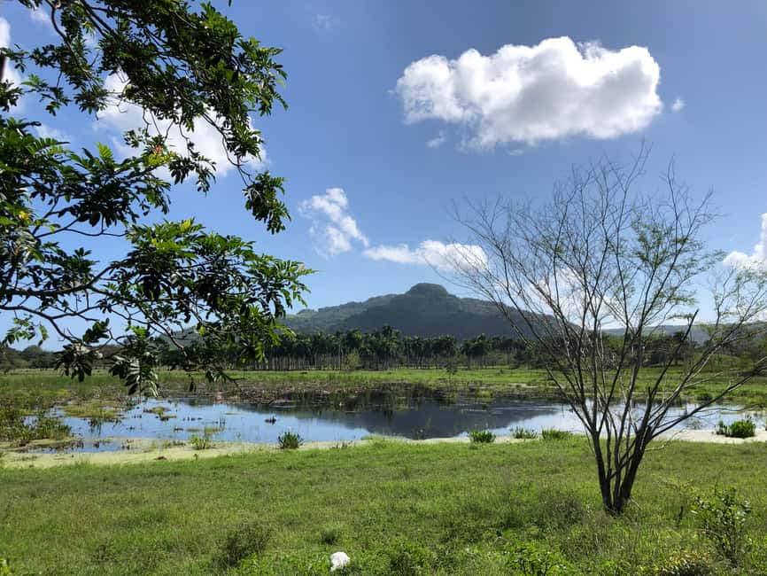VIP DayPass | ATV's, Zip Lines, Horse Riding| Hotel & Cruise - A real Dominican lunch, not just a quick bite