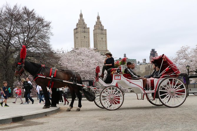 VIP Horse Carriage Ride through Central Park (Up to 4 Adults) - Gapstow Bridge and Bow Bridge