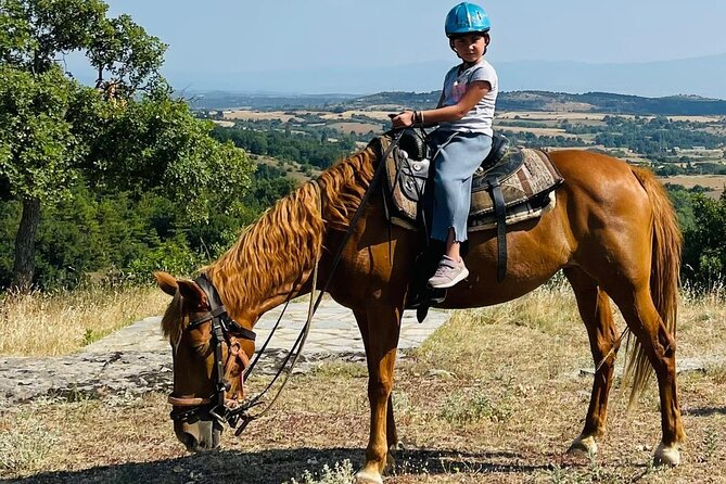 Visit a Farm and Horseback Riding in Nature - Key points to know before booking