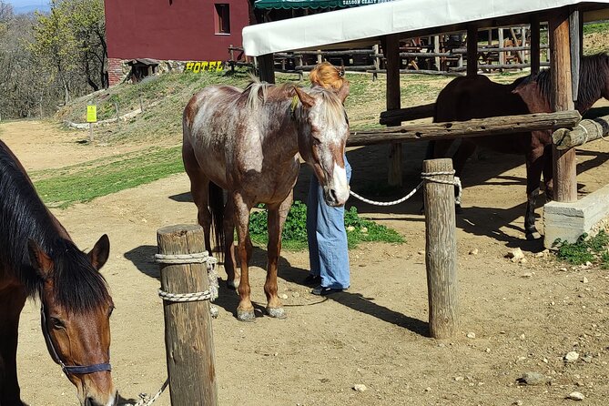 Visit a Farm and Horseback Riding in Nature - Why the small group size helps