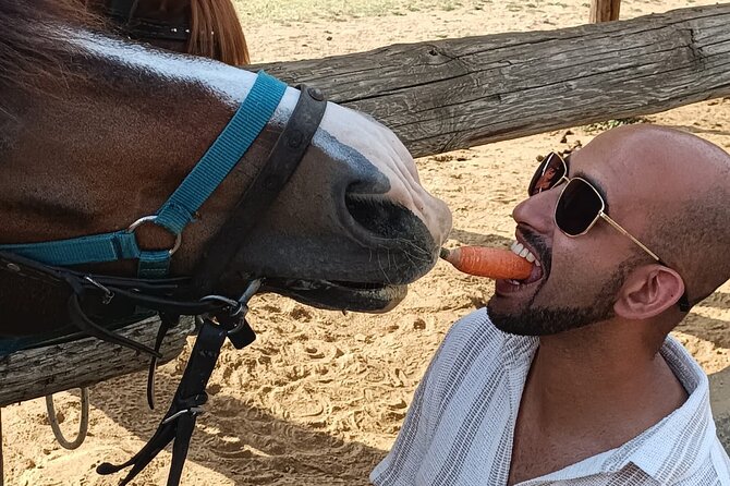 Visit a Farm and Horseback Riding in Nature - The value of the $102.56 price