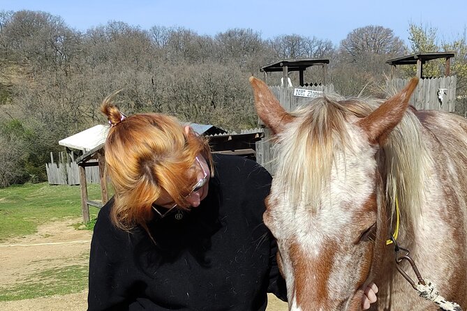 Visit a Farm and Horseback Riding in Nature - Meeting Dora and getting settled around the horses