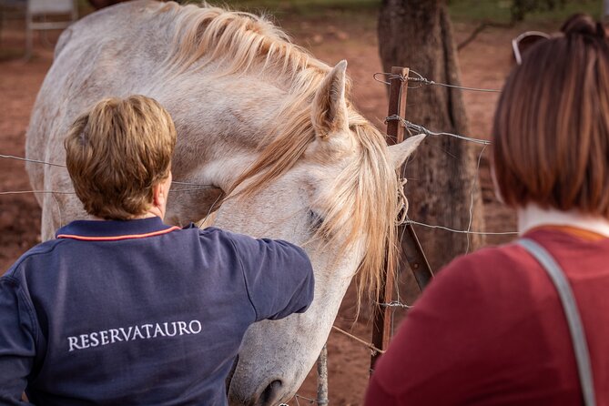 Visita Entre Toros y Caballos - Practicing with the capote and muleta