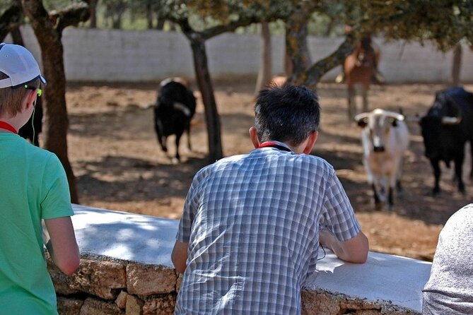 Visita Entre Toros y Caballos - Riding through the oak pasture