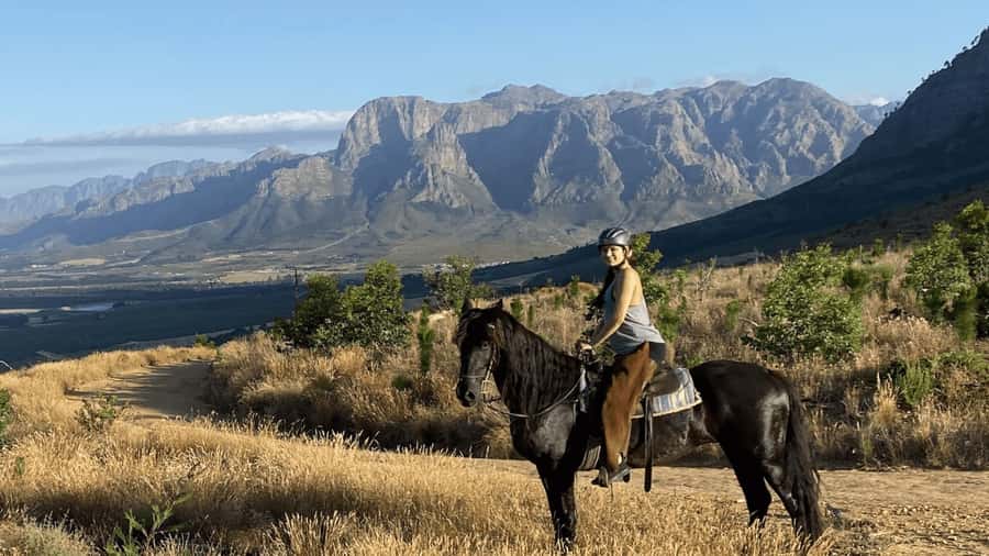 Vrede en Lust Wine Estate:1-Hour Horseback Riding Experience - Riding Through Vrede en Lust’s Vineyard Country