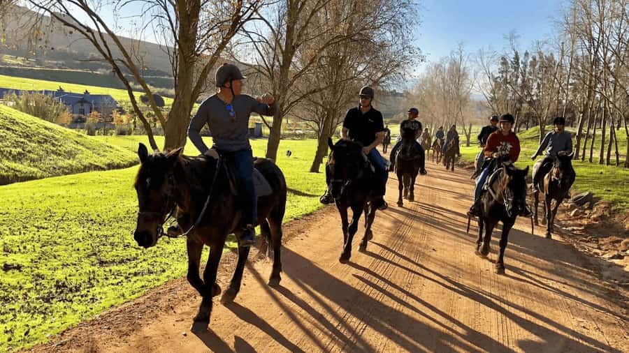 Vrede en Lust Wine Estate:1-Hour Horseback Riding Experience - The First 30 Minutes Matter