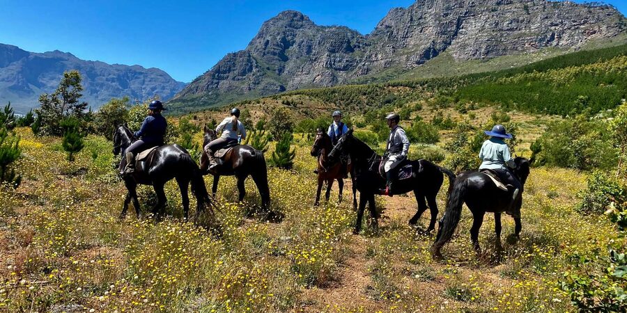 Vrede en Lust Wine Estate:1-Hour Horseback Riding Experience - Calm Horses and Careful Guides