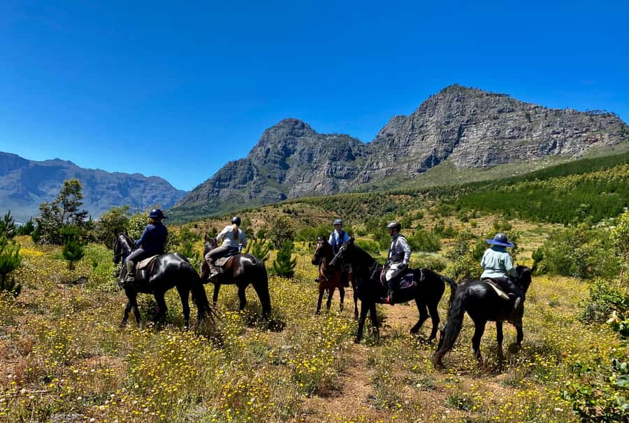 Vrede en Lust Wine Estate:1-Hour Horseback Riding Experience - Is $75 Good Value for One Hour?