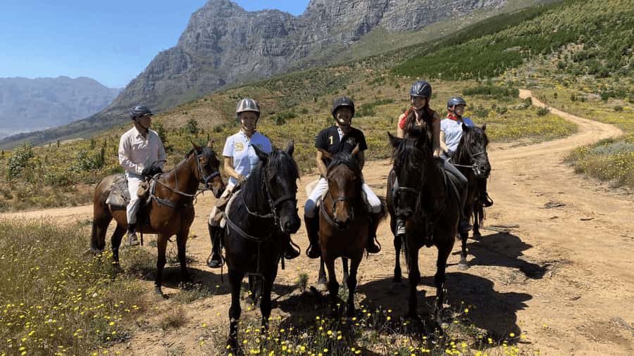 Vrede en Lust Wine Estate:1-Hour Horseback Riding Experience - A Safety Briefing for First-Time Riders