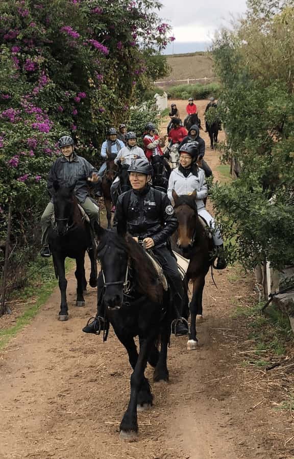 Vrede en Lust Wine Estate: 1h30m Horse Trail Ride - A vineyard ride with a slower rhythm
