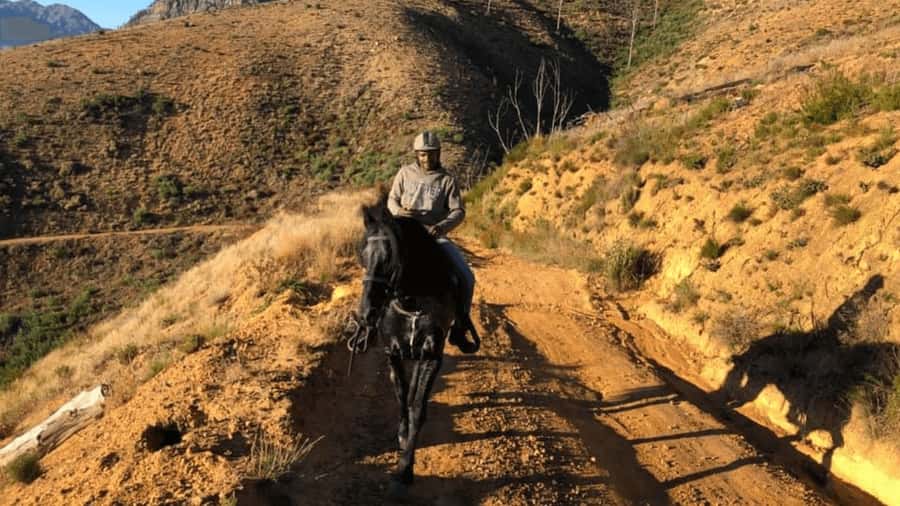 Vrede en Lust Wine Estate: 1h30m Horse Trail Ride - Under the oak trees and into the vineyards