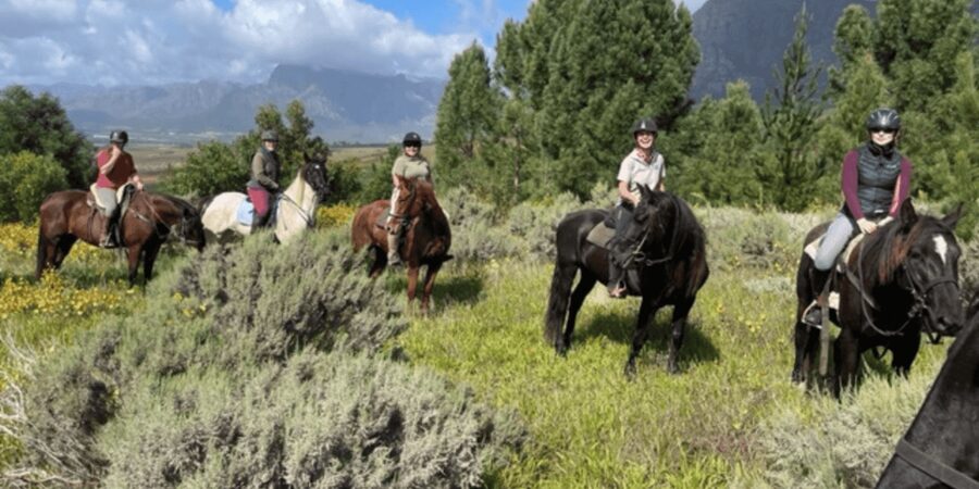 Vrede en Lust Wine Estate: 1h30m Horse Trail Ride - Riverside views and the Simonsberg foothills