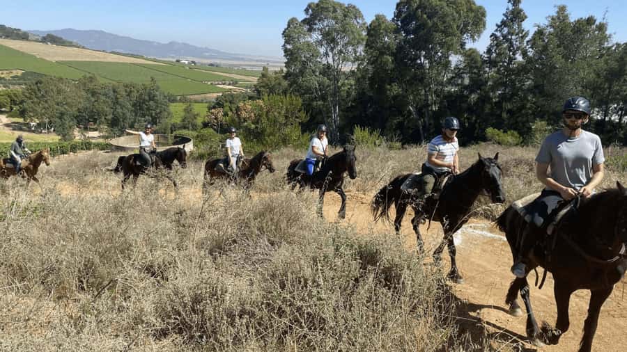 Vrede en Lust Wine Estate: 2H Horse Trail - Riding out from Vrede en Lust