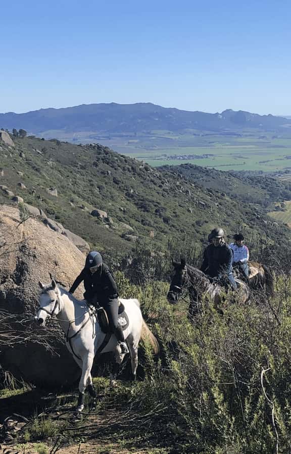 Vrede en Lust Wine Estate: 2H Horse Trail - Cancellation and planning flexibility