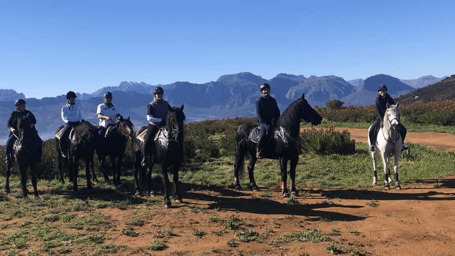 Vrede en Lust Wine Estate: 2H Horse Trail - From vineyard rows to mountain fynbos