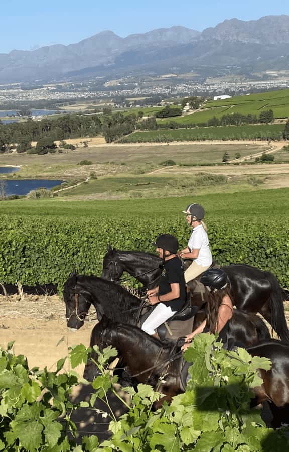 Vrede en Lust Wine Estate: 2H Horse Trail - The horses and guide support