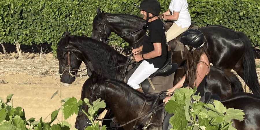 Vrede en Lust Wine Estate: 2H Horse Trail - Timing matters more than you might expect