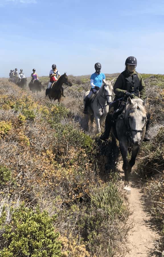 Vrede en Lust Wine Estate: 2H Horse Trail - Who should book this ride