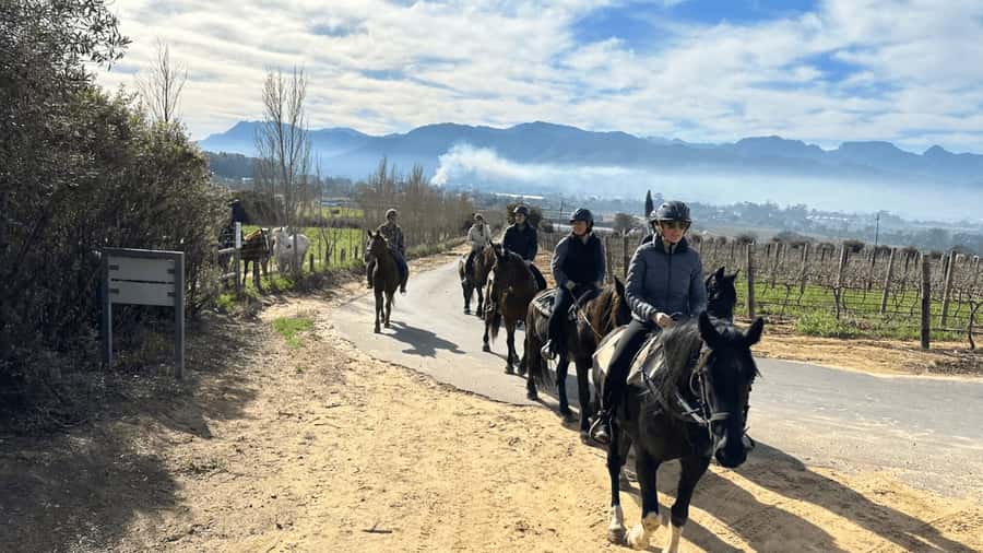Vrede en Lust Wine Estate: 2H Horse Trail - Why the gentle pace works