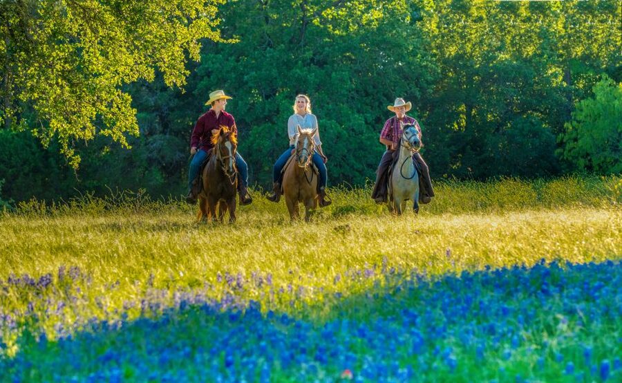 Waco: Horseback Riding Tour with Cowboy Guide - Key Points at a Glance
