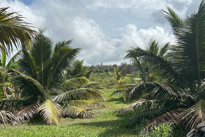 Waipi’o on Horseback: Mountain Ocean Views Working Cattle Ranch - Weather and cancellation details