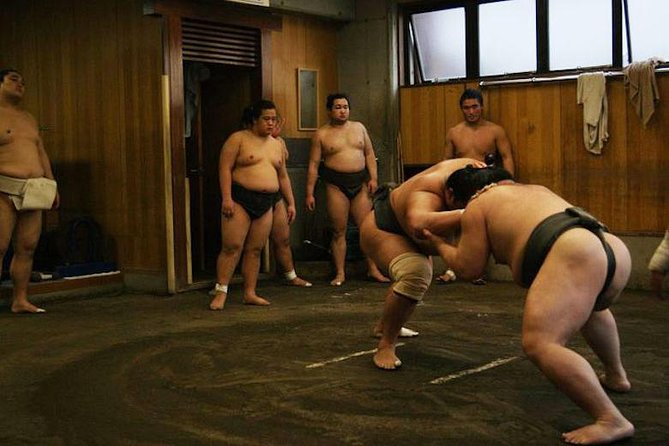 Watch Sumo Morning Practice at Stable in Tokyo - Floor Seating Is the Big Practical Issue