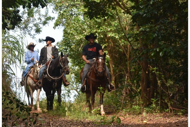 West Maui Mountain Waterfall and Ocean Tour via Horseback - Climbing through West Maui’s mountain trails