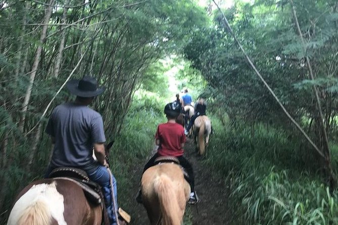 West Maui Mountain Waterfall and Ocean Tour via Horseback - Cantering and trotting depend on the day