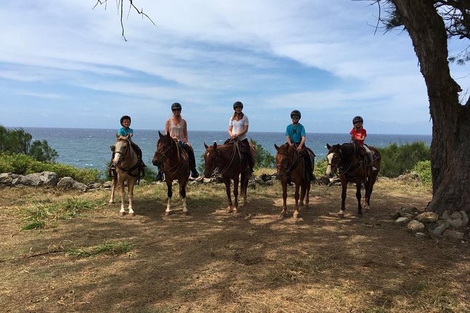 West Maui Mountain Waterfall and Ocean Tour via Horseback - The ranch animals add a welcome extra