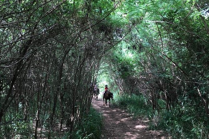 West Maui Mountain Waterfall and Ocean Tour via Horseback - Guides who keep the ride moving safely