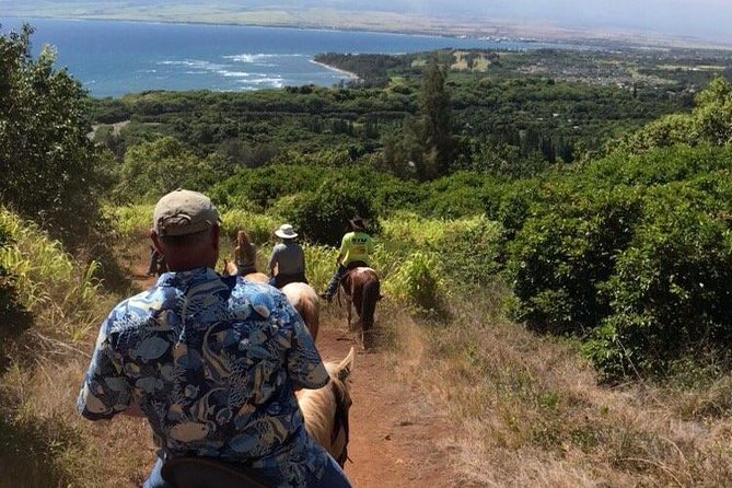 West Maui Mountain Waterfall and Ocean Tour via Horseback - Coastal riding, with an important qualification