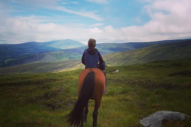 Wicklow Mountains Horse Trekking - Key points to know before booking