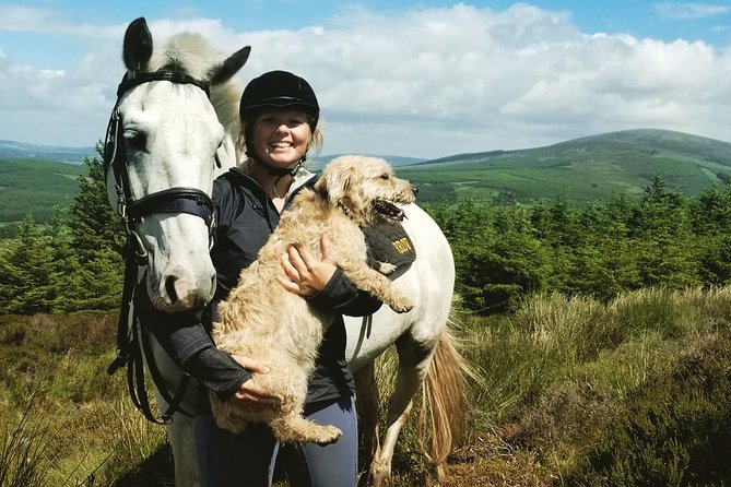 Wicklow Mountains Horse Trekking - Riding into the Wicklow mountain country