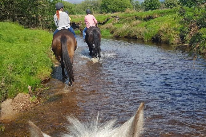 Wicklow Mountains Horse Trekking - What the 1 hour 20 minute trek feels like