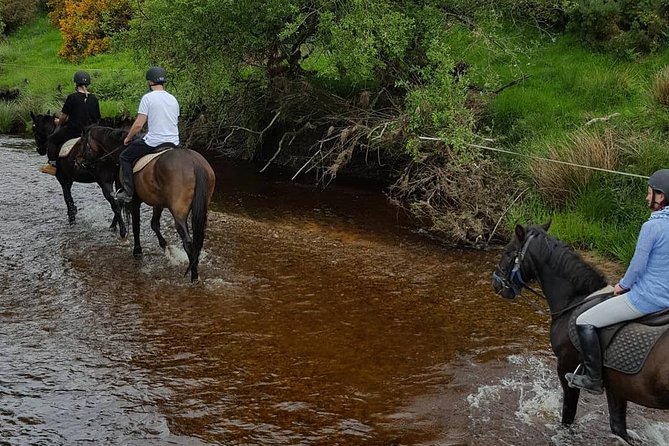 Wicklow Mountains Horse Trekking - Why the small group matters