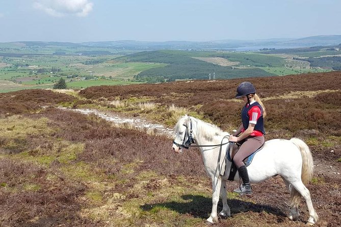 Wicklow Mountains Horse Trekking - Rain, wind, and Irish weather