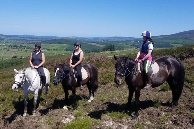 Wicklow Mountains Horse Trekking - Getting to the meeting point