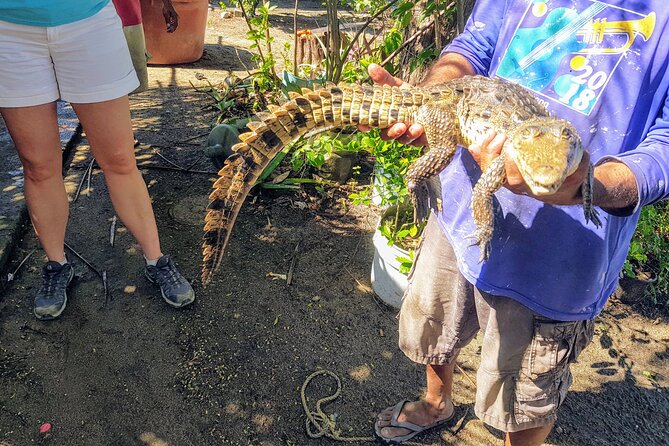 Wild & Free: Lagoon Boat, Beach Horseback, Crocs & Turtle Release - Key points to know before booking