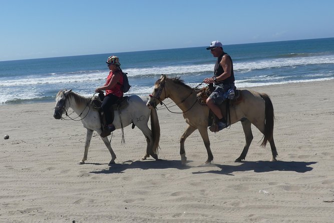 Wild & Free: Lagoon Boat, Beach Horseback, Crocs & Turtle Release - Why this Acapulco day feels different