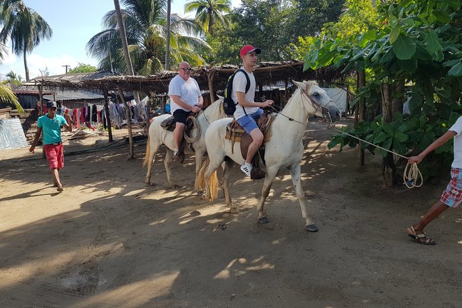 Wild & Free: Lagoon Boat, Beach Horseback, Crocs & Turtle Release - A close look at the rustic crocodile farm