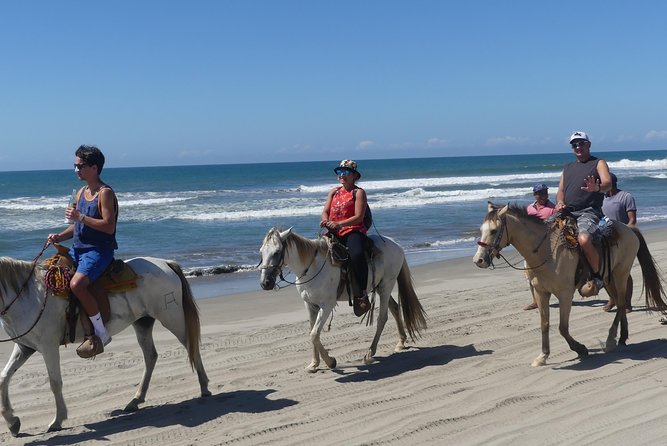 Wild & Free: Lagoon Boat, Beach Horseback, Crocs & Turtle Release - What the $135.99 price covers