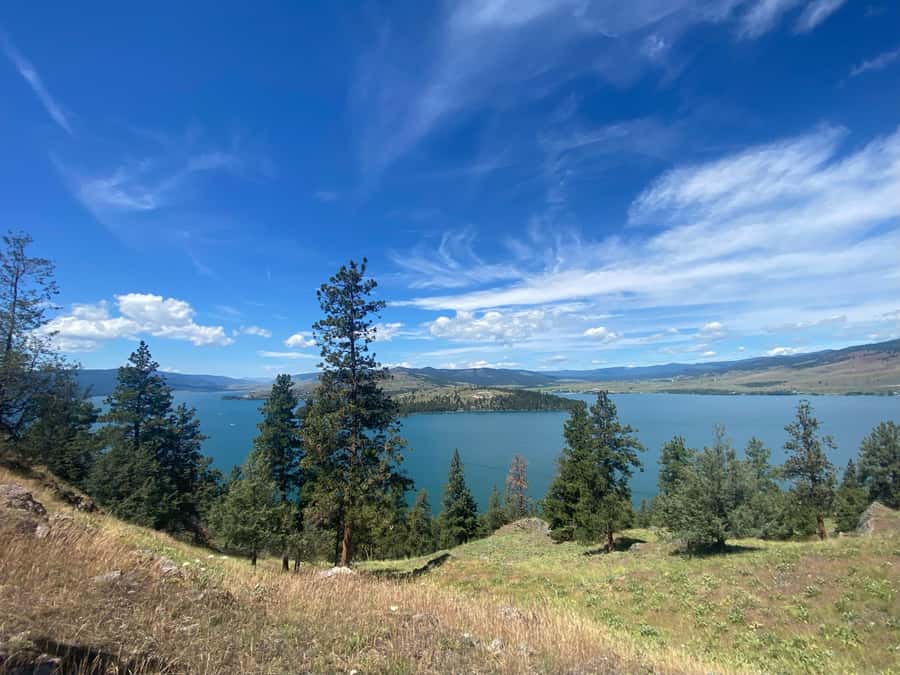 Wild Horse Island Flathead Lake Kayak Tour - Why Wild Horse Island makes a good half-day outing
