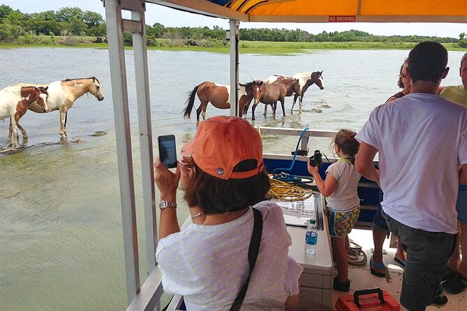 Wild Pony Watching Boat Tour from Chincoteague to Assateague - Boat comfort, seating, and what to wear