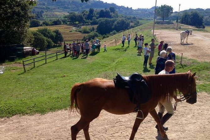 Wine tasting and horseback riding in Montepulciano, in Tuscany from Rome - Why this Rome day trip works best for wine and countryside fans