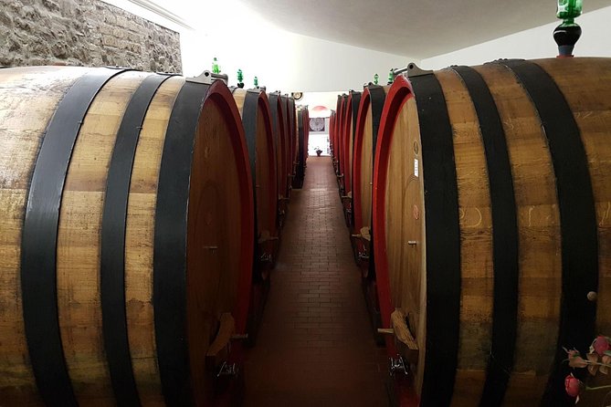 Wine tasting and horseback riding in Montepulciano, in Tuscany from Rome - Choosing the horseback ride