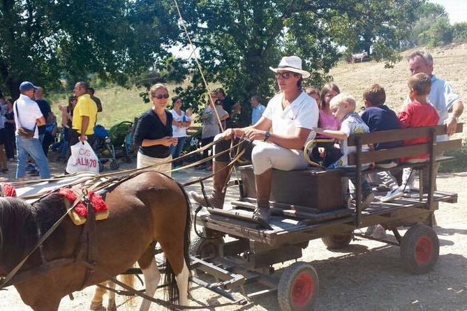 Wine tasting and horseback riding in Montepulciano, in Tuscany from Rome - Leaving Rome for Montepulciano
