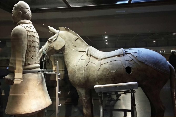 Xi'an Half-Day Private Tour of Terracotta Warriors and Horses Museum - Seeing Pit 1, the grand view of the army